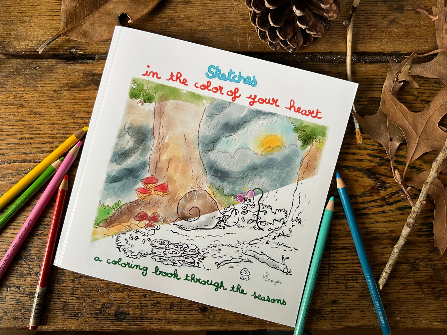 Sketches In Stillness Coloring Book