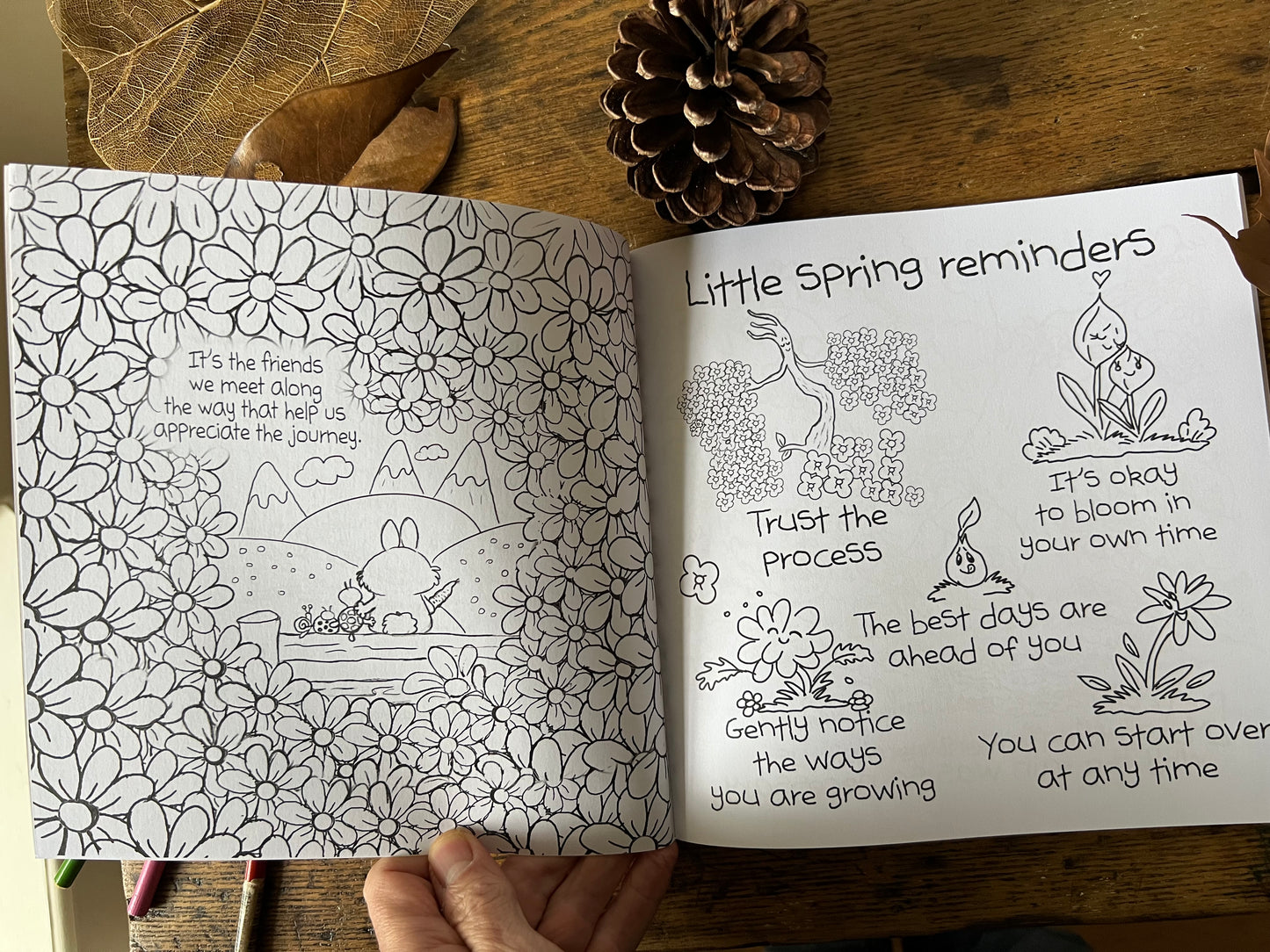 Sketches In Stillness Coloring Book