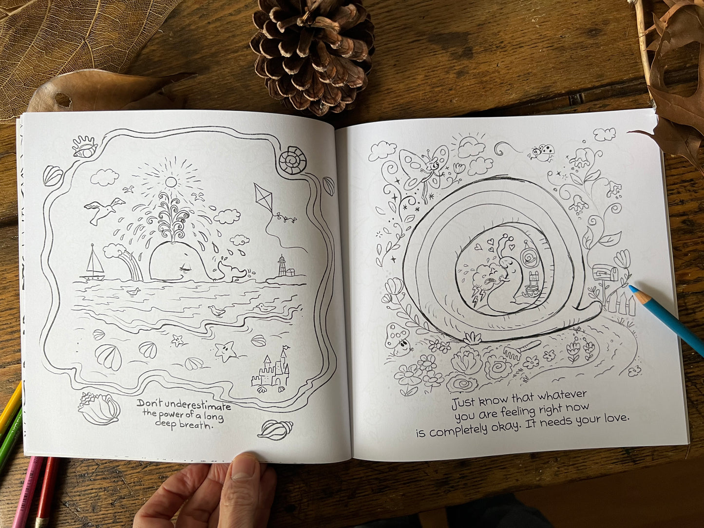 Sketches In Stillness Coloring Book