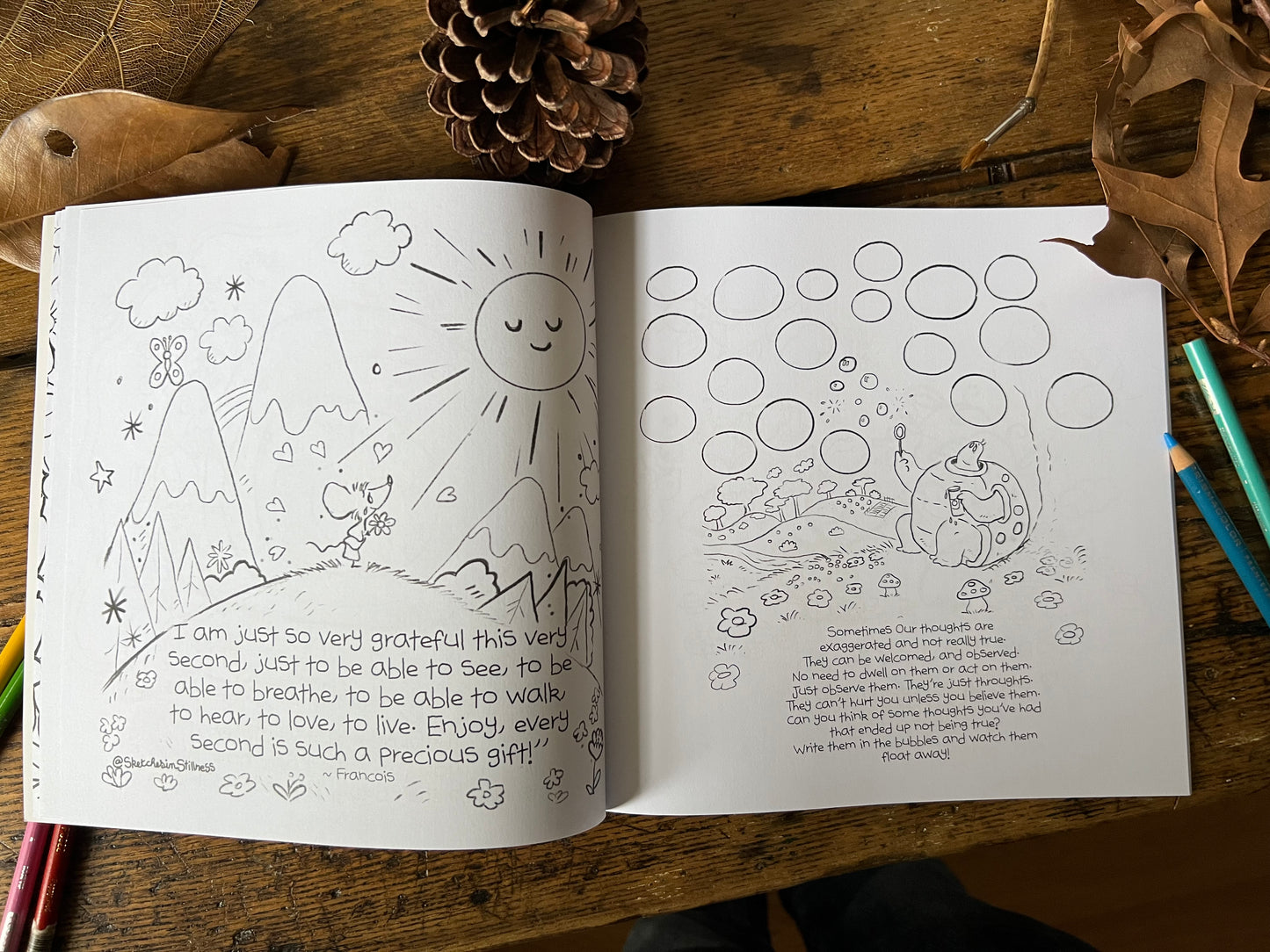 Sketches In Stillness Coloring Book