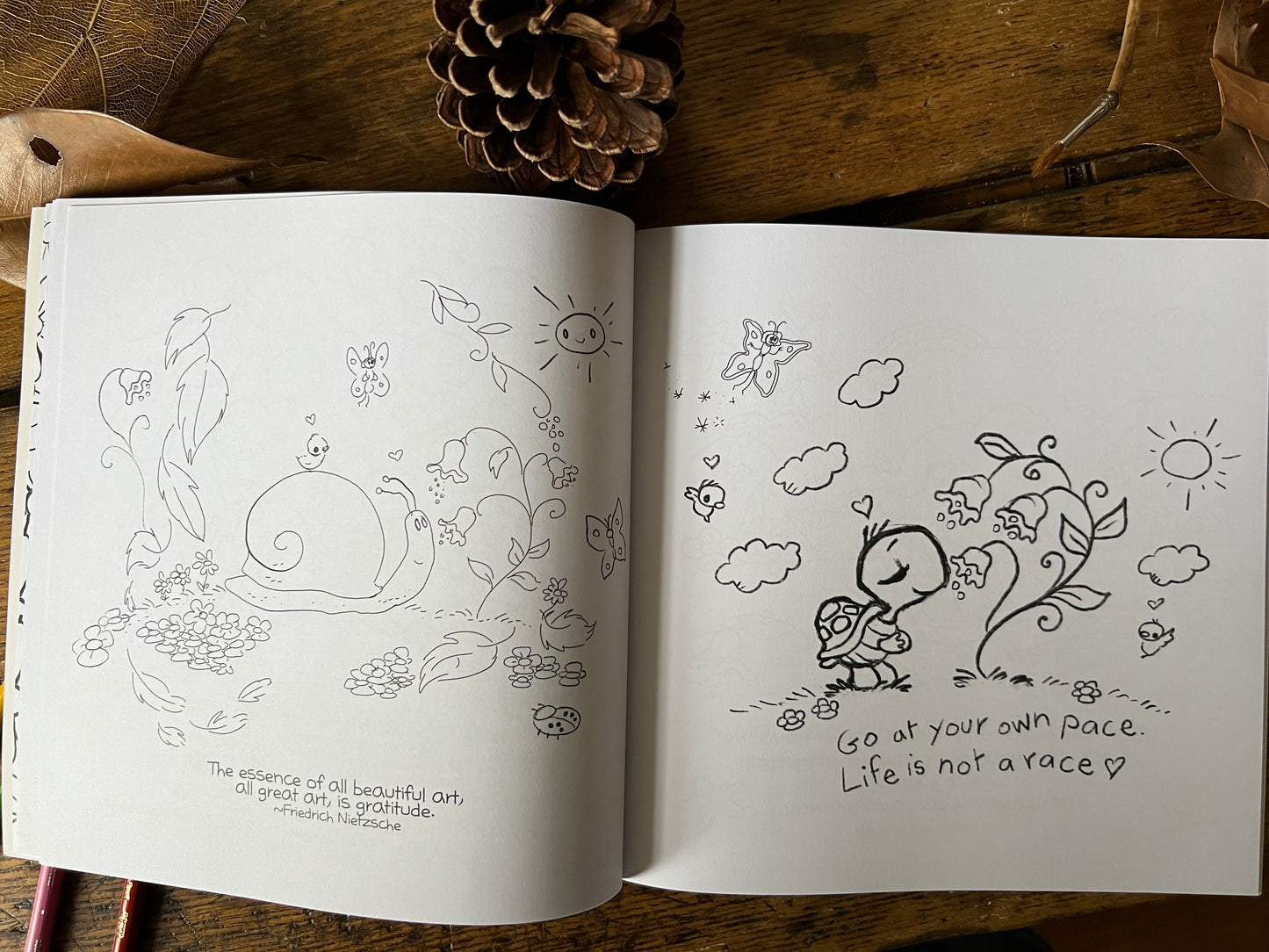 Sketches In Stillness Coloring Book