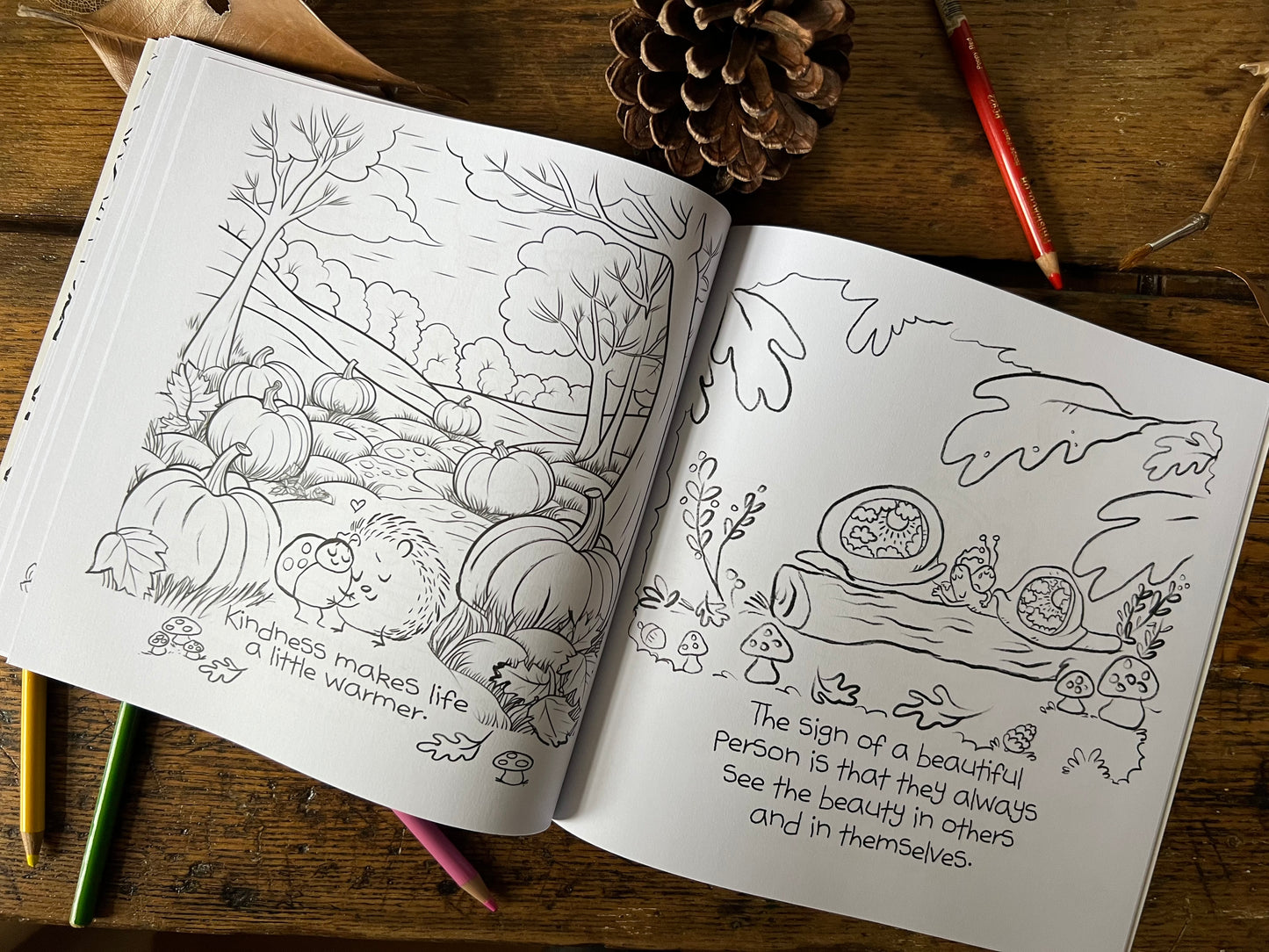 Sketches In Stillness Coloring Book