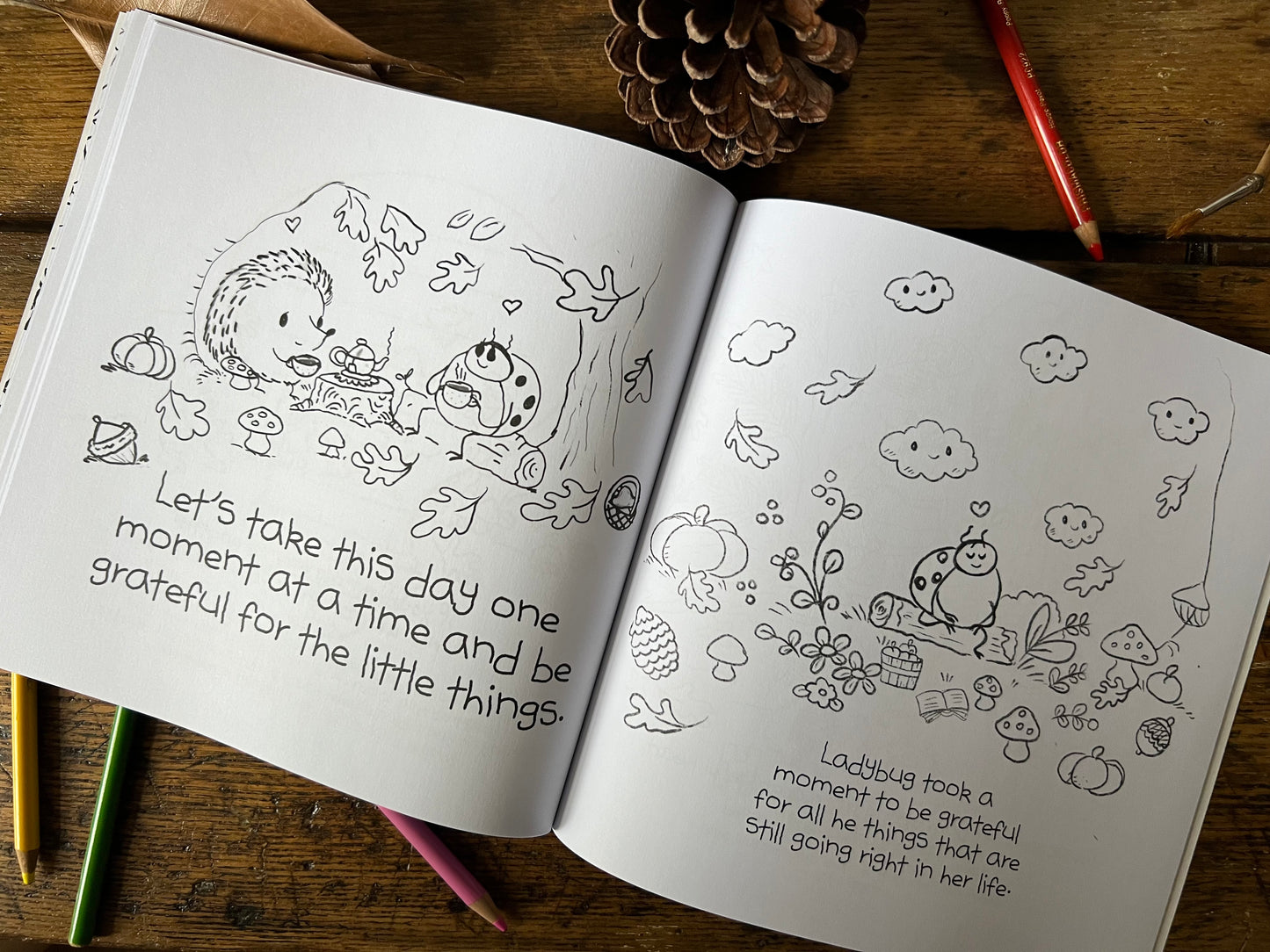 Sketches In Stillness Coloring Book