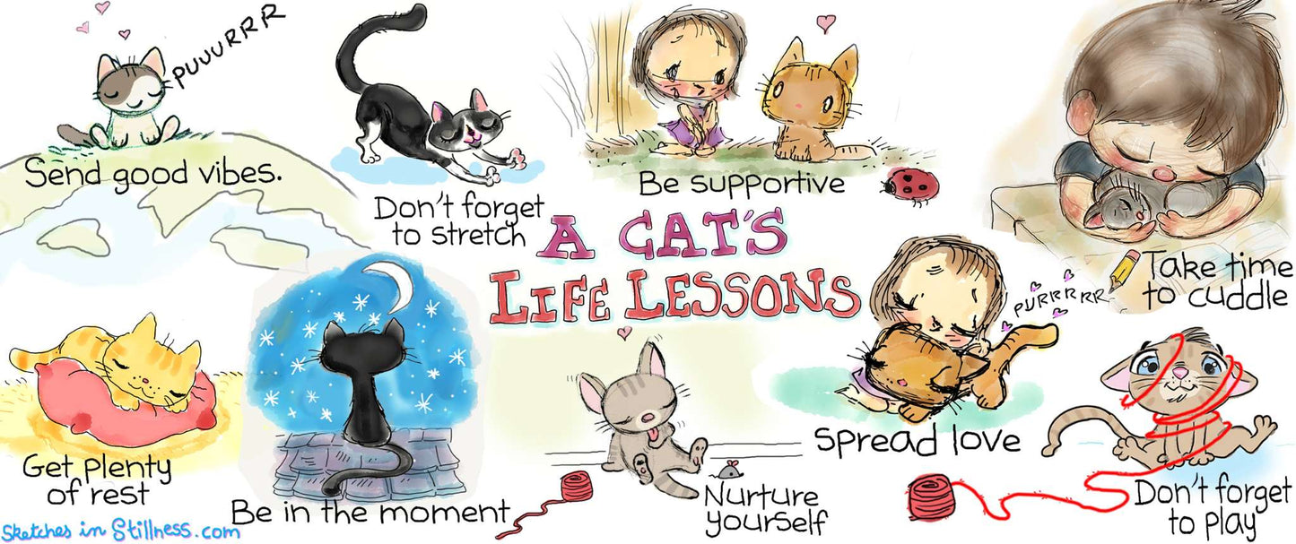 A Cat's Life Lessons Mug